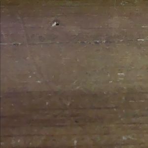 Meet your Posher, Rick